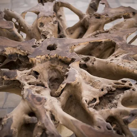 Lances By Qhotels 4*